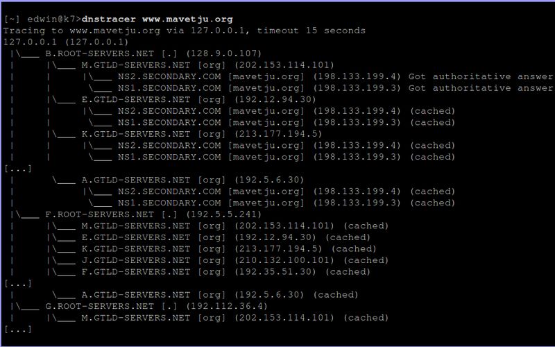 dnstracer — отслеживать DNS-запросы к источнику