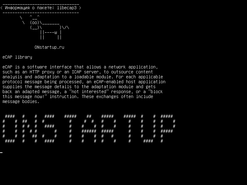 libecap3 — Библиотека eCAP