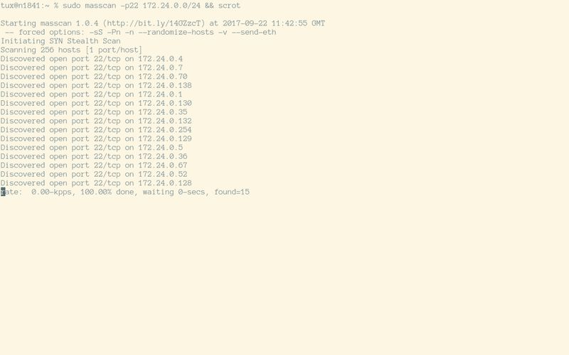 masscan — Сканер портов TCP