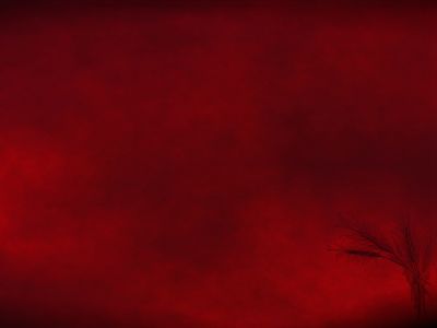 peace-wallpapers — Мир - Обои