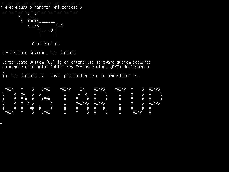 pki-console — Система сертификатов - консоль PKI