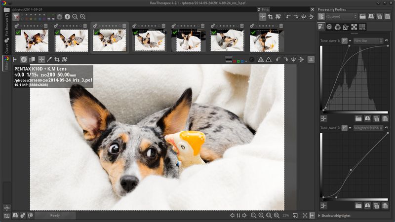 rawtherapee — конвертер необработанного изображения и цифровой фотопроцессор