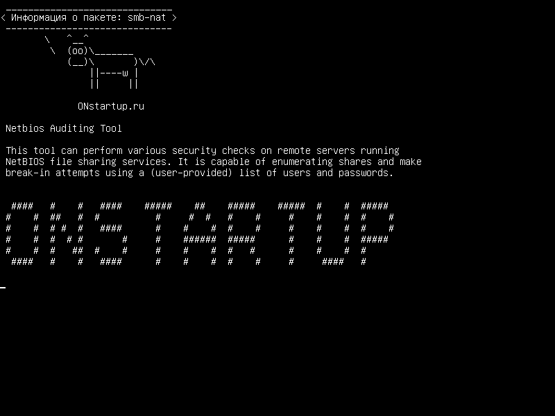 smb-nat — Инструмент аудита Netbios