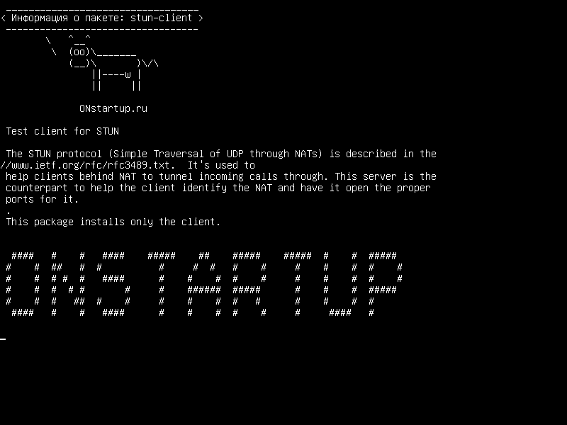 stun-client — Тестовый клиент для STUN