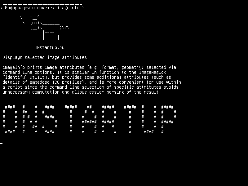 imageinfo — Отображает выбранные атрибуты изображения