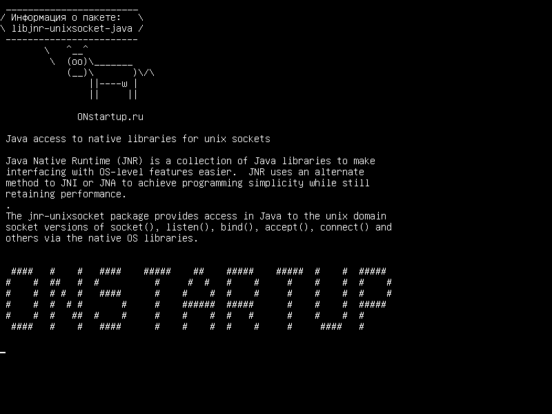 libjnr-unixsocket-java — Доступ Java к родным библиотекам для UNIX-сокетов