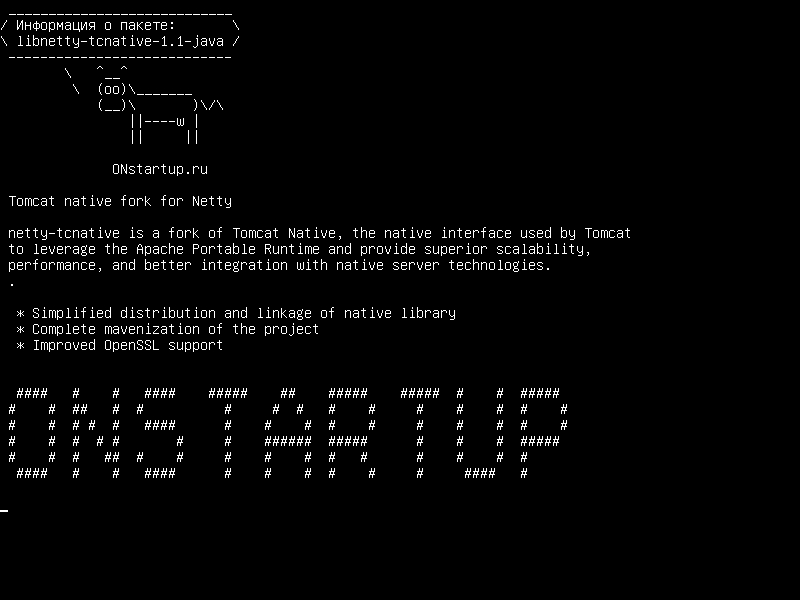 libnetty-tcnative-1.1-java — Tomkat для разработки Netty