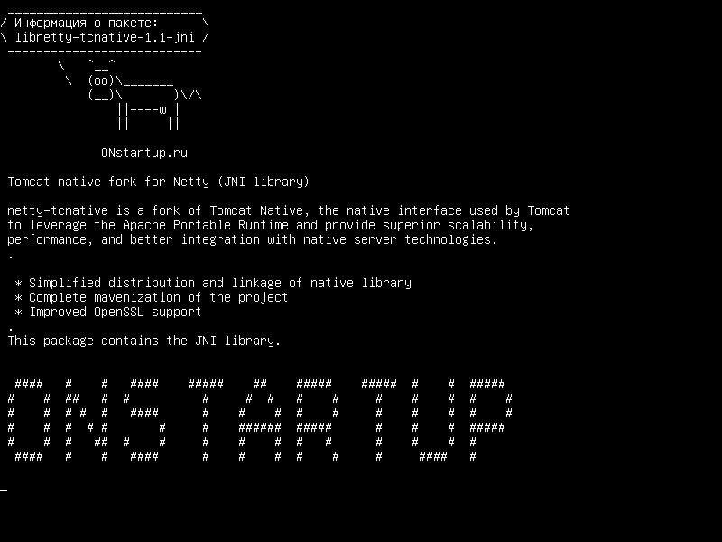 libnetty-tcnative-1.1-jni — Tomkat для for Netty (библиотека JNI)