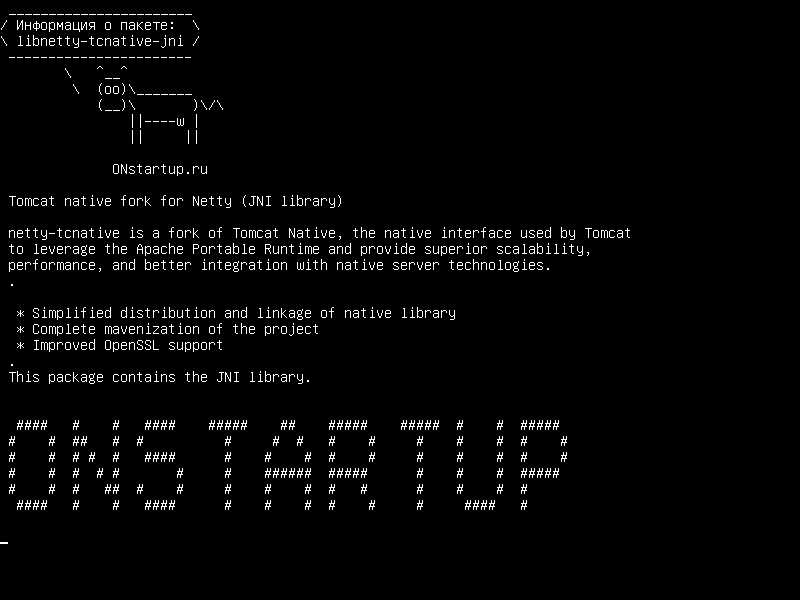 libnetty-tcnative-jni — Tomkat для for Netty (библиотека JNI)
