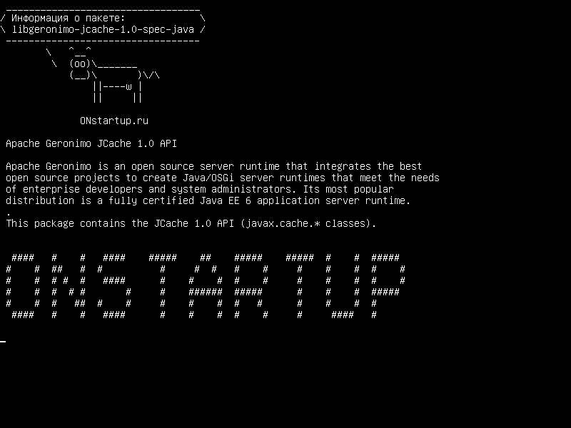 libgeronimo-jcache-1.0-spec-java — API Apache Geronimo JCache 1.0