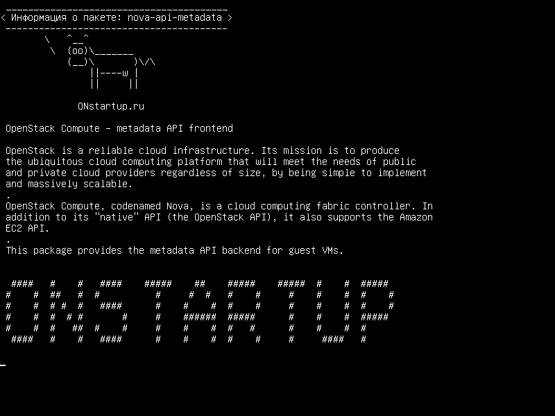 nova-api-metadata — OpenStack Compute - интерфейс API метаданных
