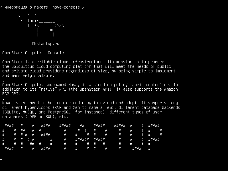 nova-console — OpenStack Compute - консоль
