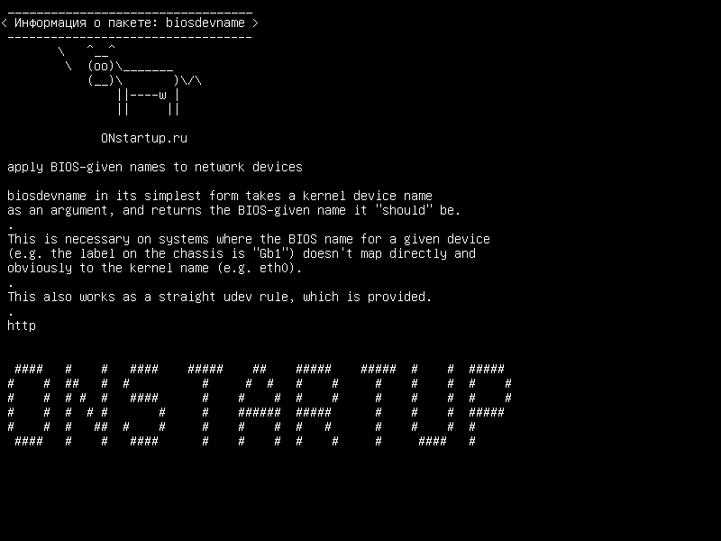 biosdevname — применять имена, указанные BIOS, к сетевым устройствам