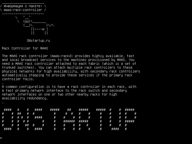 maas-rack-controller — Контроллер стойки для MAAS