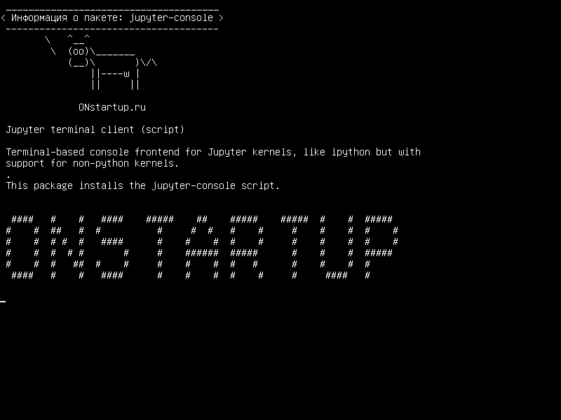 jupyter-console — Клиент терминала Jupyter (сценарий)