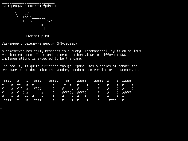 fpdns — дистанционное определение версии DNS-сервера