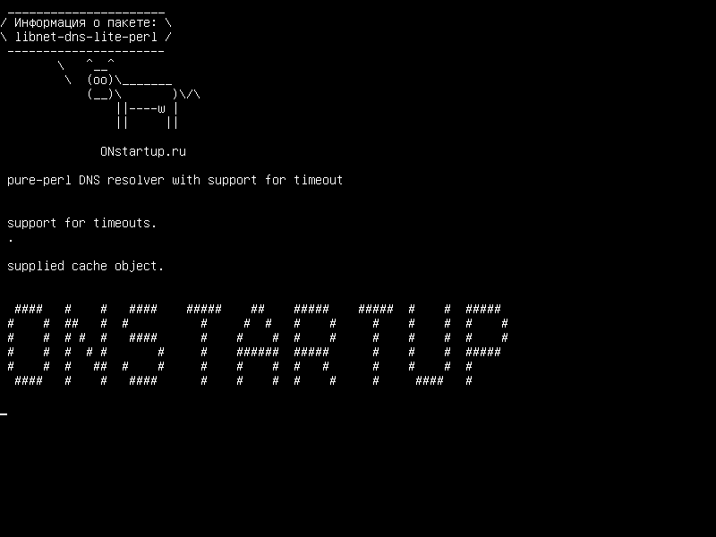 libnet-dns-lite-perl — чип-перл DNS-резольвер с поддержкой тайм-аута