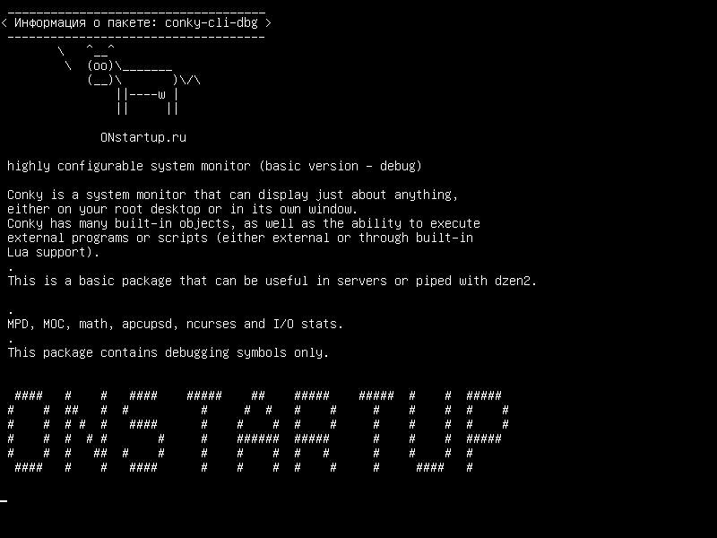 conky-cli-dbg — высоко настраиваемый системный монитор (базовая версия - отладка)