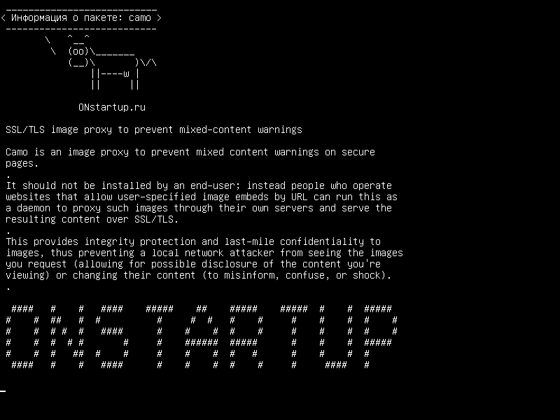 camo — Прокси-сервер SSL / TLS для предотвращения предупреждений о смешанном содержании