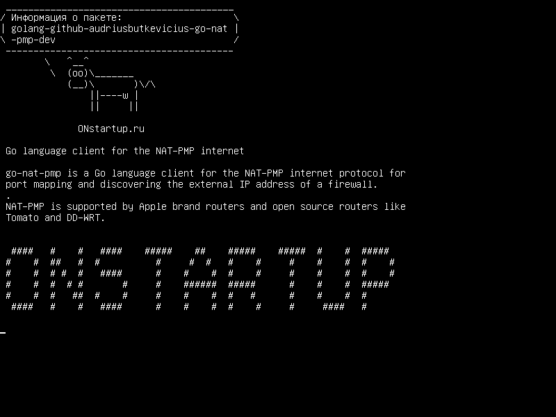 golang-github-audriusbutkevicius-go-nat-pmp-dev — Перейти на языковой клиент для NAT-PMP-интернет