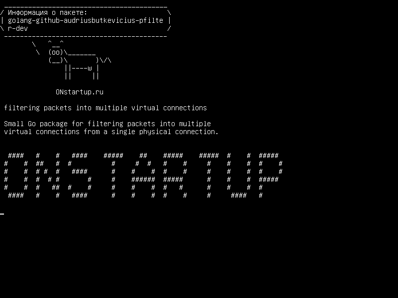 golang-github-audriusbutkevicius-pfilter-dev — фильтрация пакетов в несколько виртуальных подключений