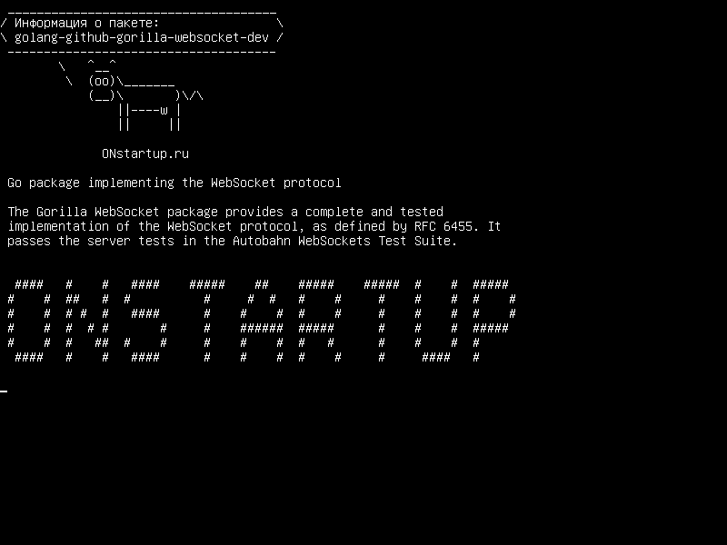 golang-github-gorilla-websocket-dev — Go, реализующий протокол WebSocket