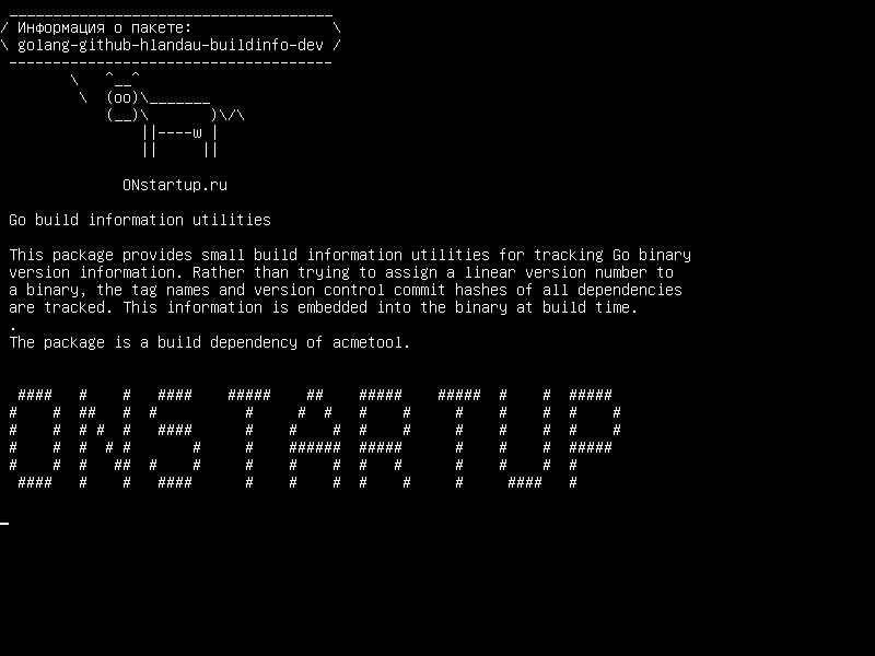 golang-github-hlandau-buildinfo-dev — Перейти к сборке информационных утилит