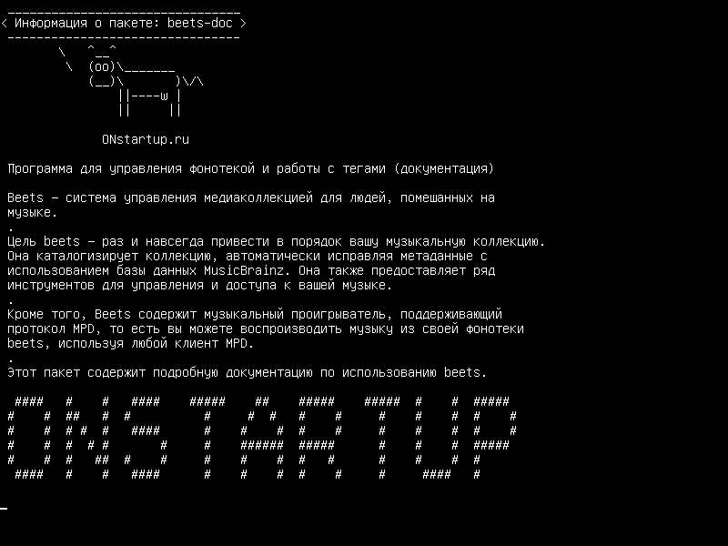 beets-doc — музыкальный теггер и организатор библиотеки - документация