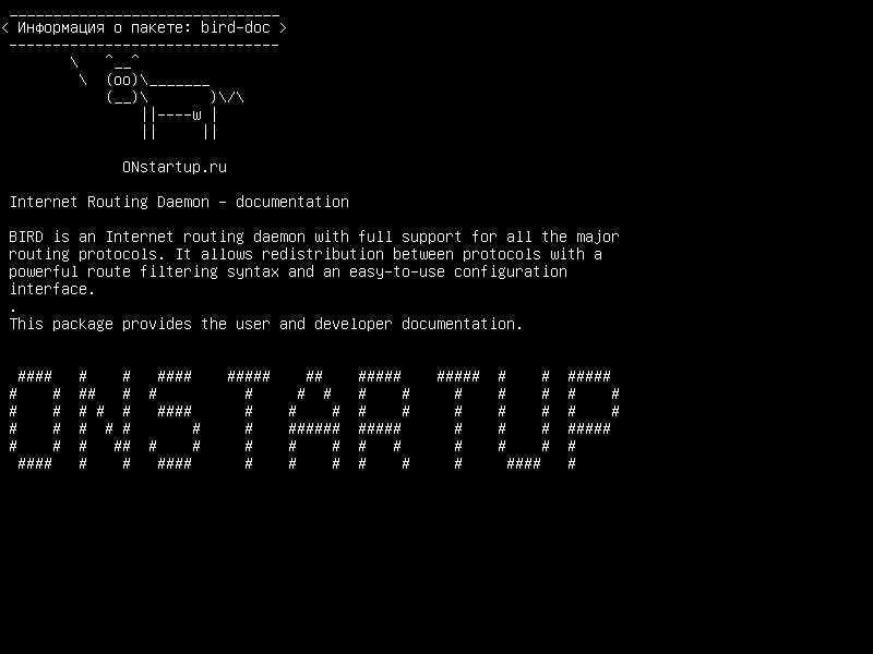 bird-doc — Internet Routing Daemon - документация
