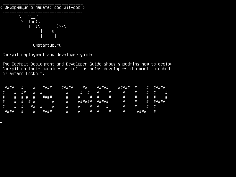 cockpit-doc — Руководство по развертыванию кабины и разработчика
