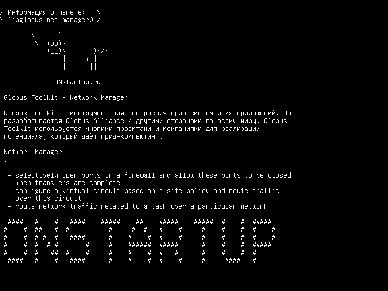 libglobus-net-manager0 — Globus Toolkit - Сетевой менеджер