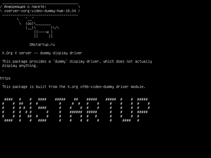 xserver-xorg-video-dummy-hwe-18.04 — X.Org X сервер - фиктивный драйвер дисплея
